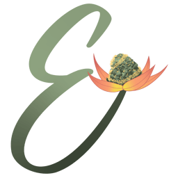 Exotique Elevation